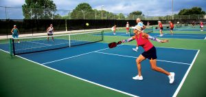 InPickleball World Pickleball Day