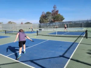 The Dink Master Pickleball Paddle